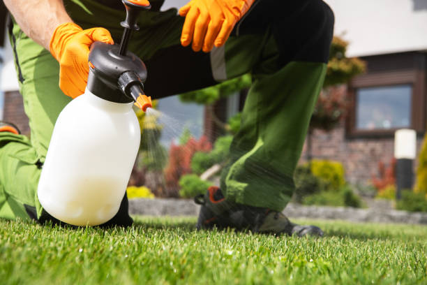 Wasp Removal Services in White Haven, PA