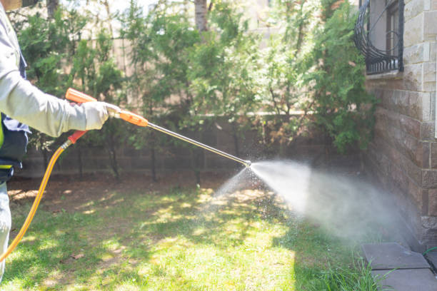 Professional Pest Control in White Haven, PA