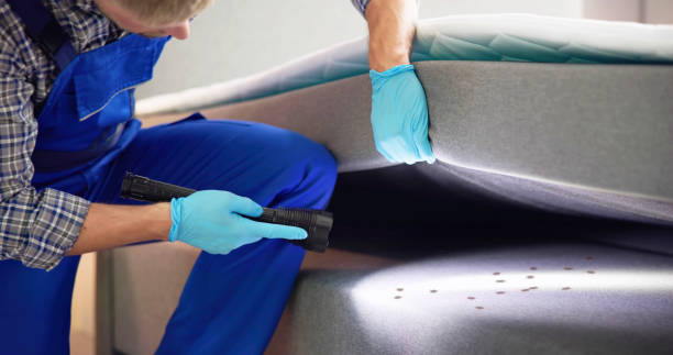 Best Pest Control Near Me  in White Haven, PA