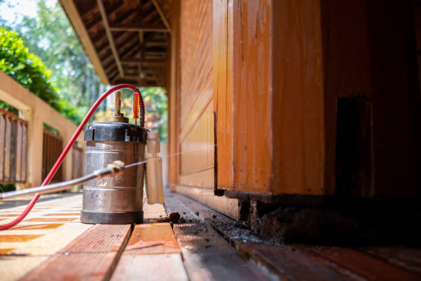 Best Ant Control Services  in White Haven, PA