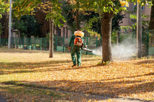 Best Termite Control Services  in White Haven, PA