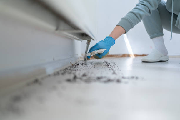 Best Exterminator Services  in White Haven, PA