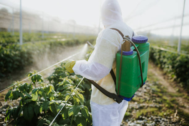 Best Commercial Pest Control Services  in White Haven, PA